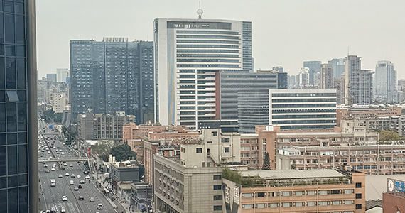 广州cn域名查询