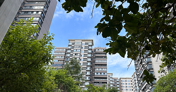 英文cn域名注册