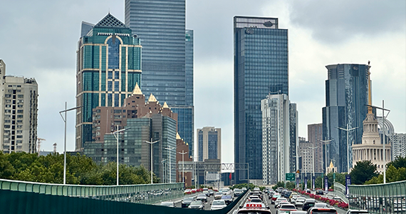 cn域名到期查询