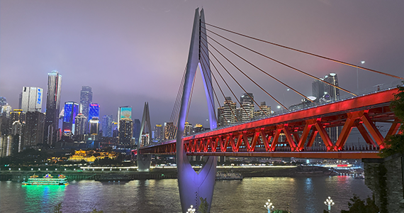 注册cn域名爆出白菜价